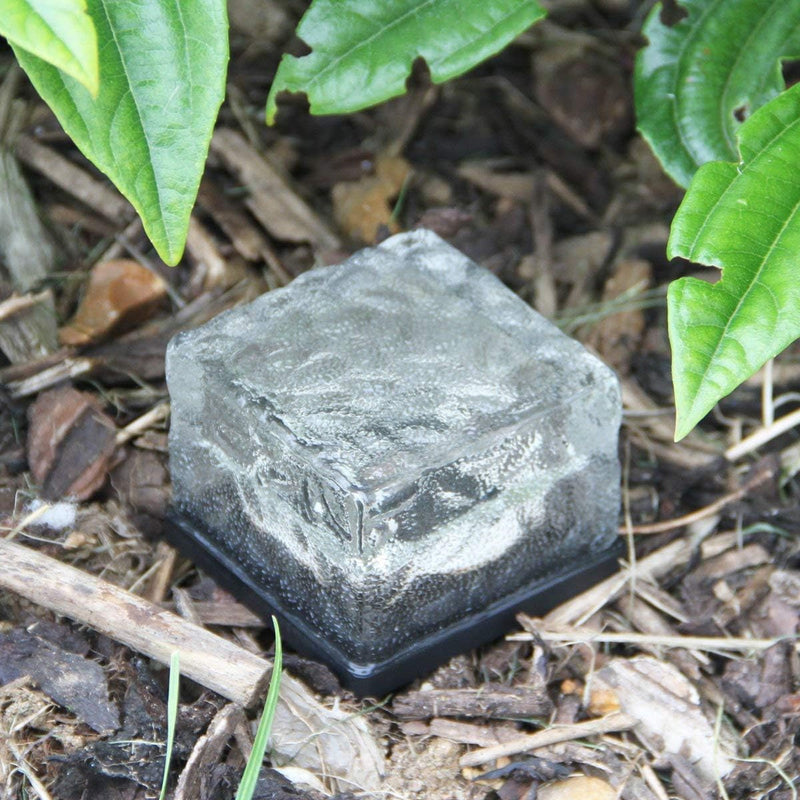 1337-19858.jpg