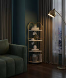 14106-EzofIf.jpg