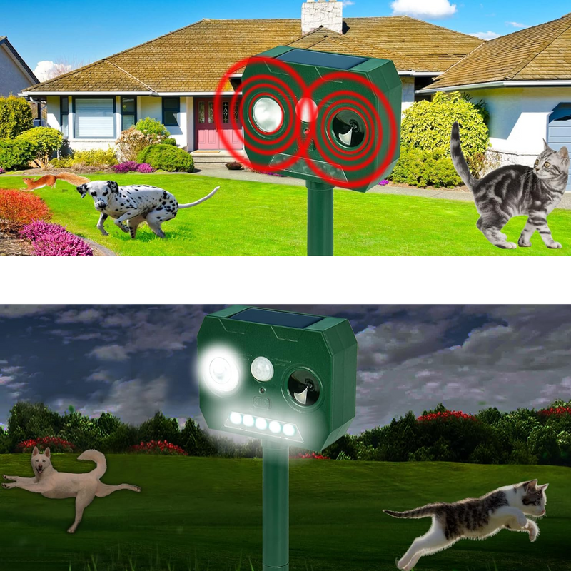 1613-22832.png