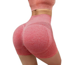 2402-34544.png